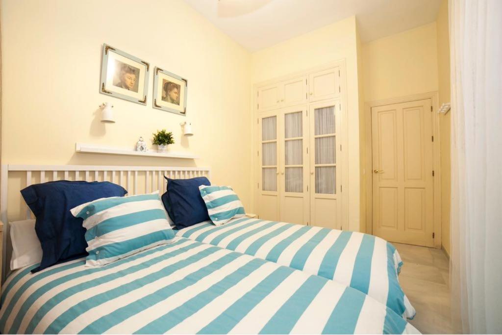 Apartment Magic Point Setas